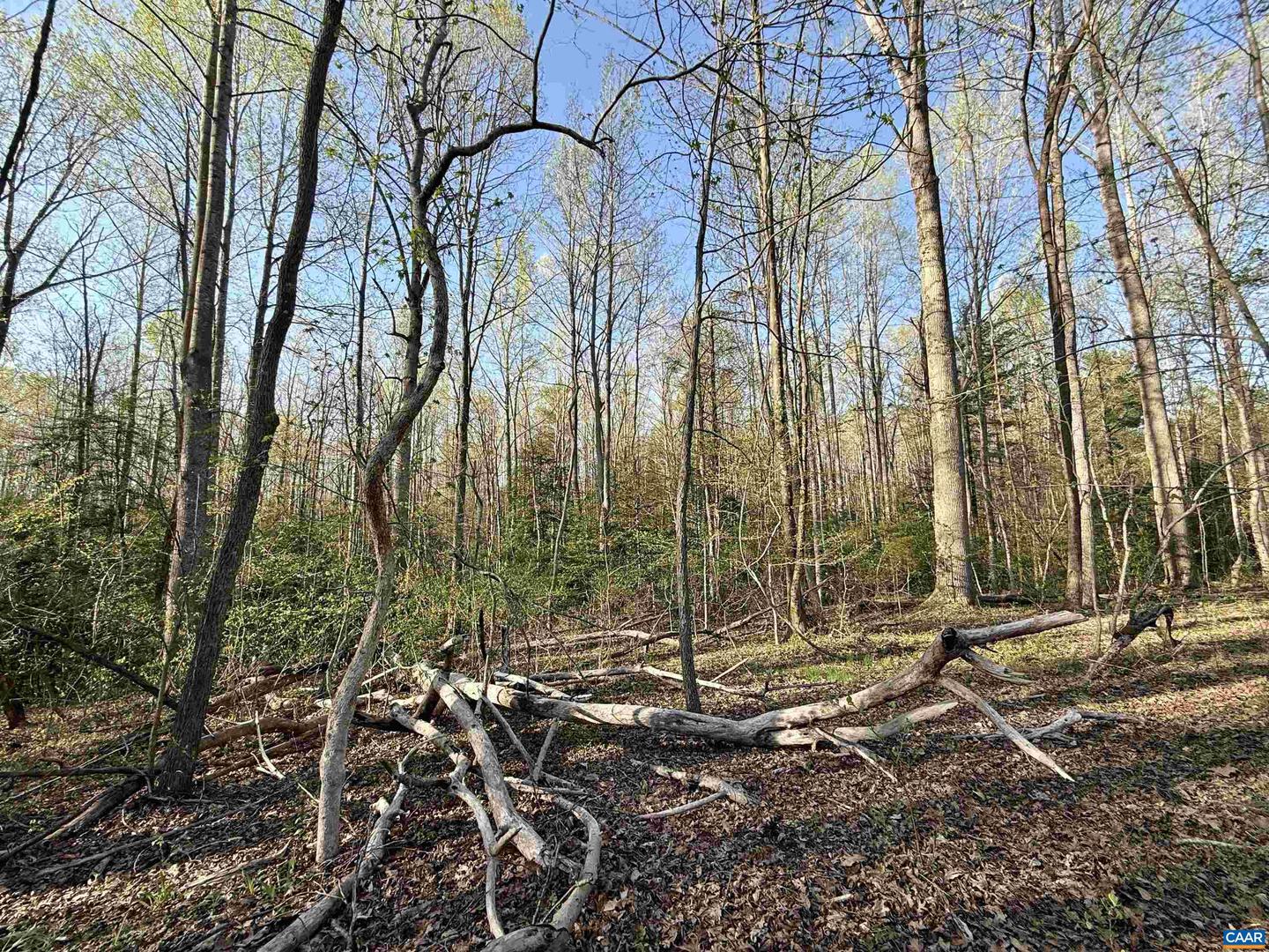 4320 IRONWOOD TRL #8, COLUMBIA, Virginia 23038, ,Land,For sale,4320 IRONWOOD TRL #8,666455 MLS # 666455