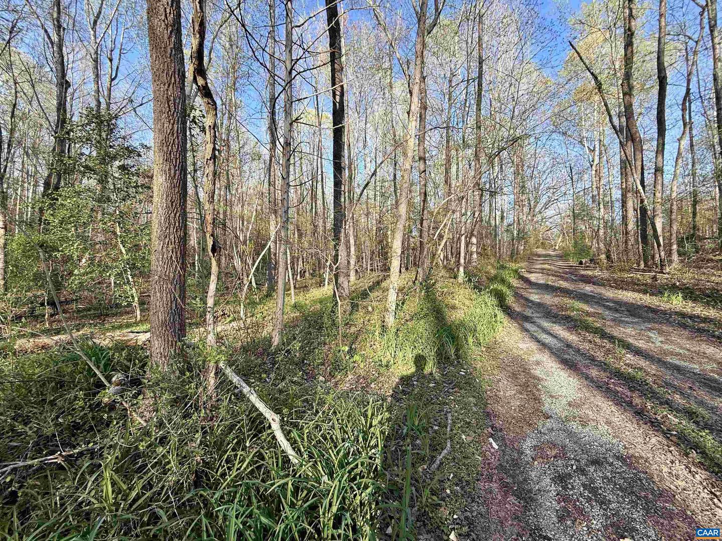 4320 IRONWOOD TRL #8, COLUMBIA, Virginia 23038, ,Land,For sale,4320 IRONWOOD TRL #8,666455 MLS # 666455
