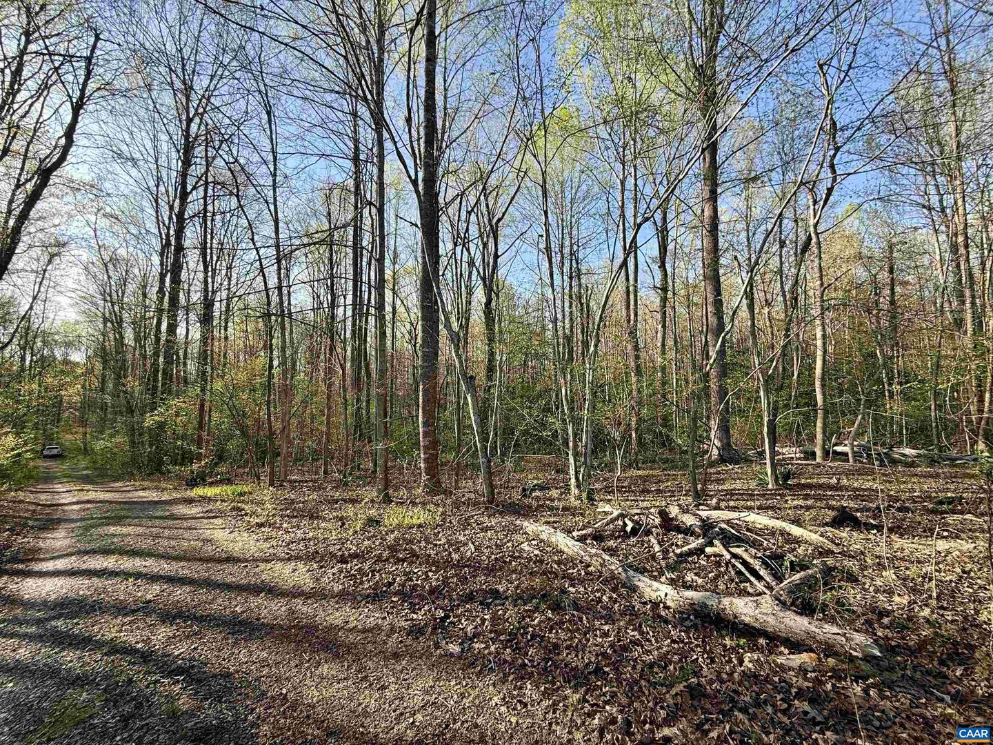 4320 IRONWOOD TRL #8, COLUMBIA, Virginia 23038, ,Land,For sale,4320 IRONWOOD TRL #8,666455 MLS # 666455