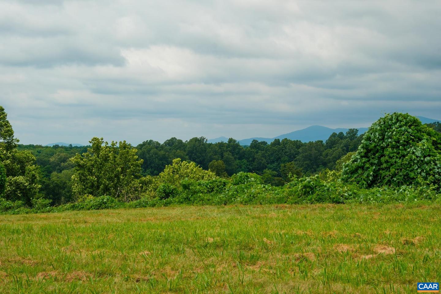 TBD ROSELAND RD, ROSELAND, Virginia 22967, ,Land,For sale,TBD ROSELAND RD,666464 MLS # 666464