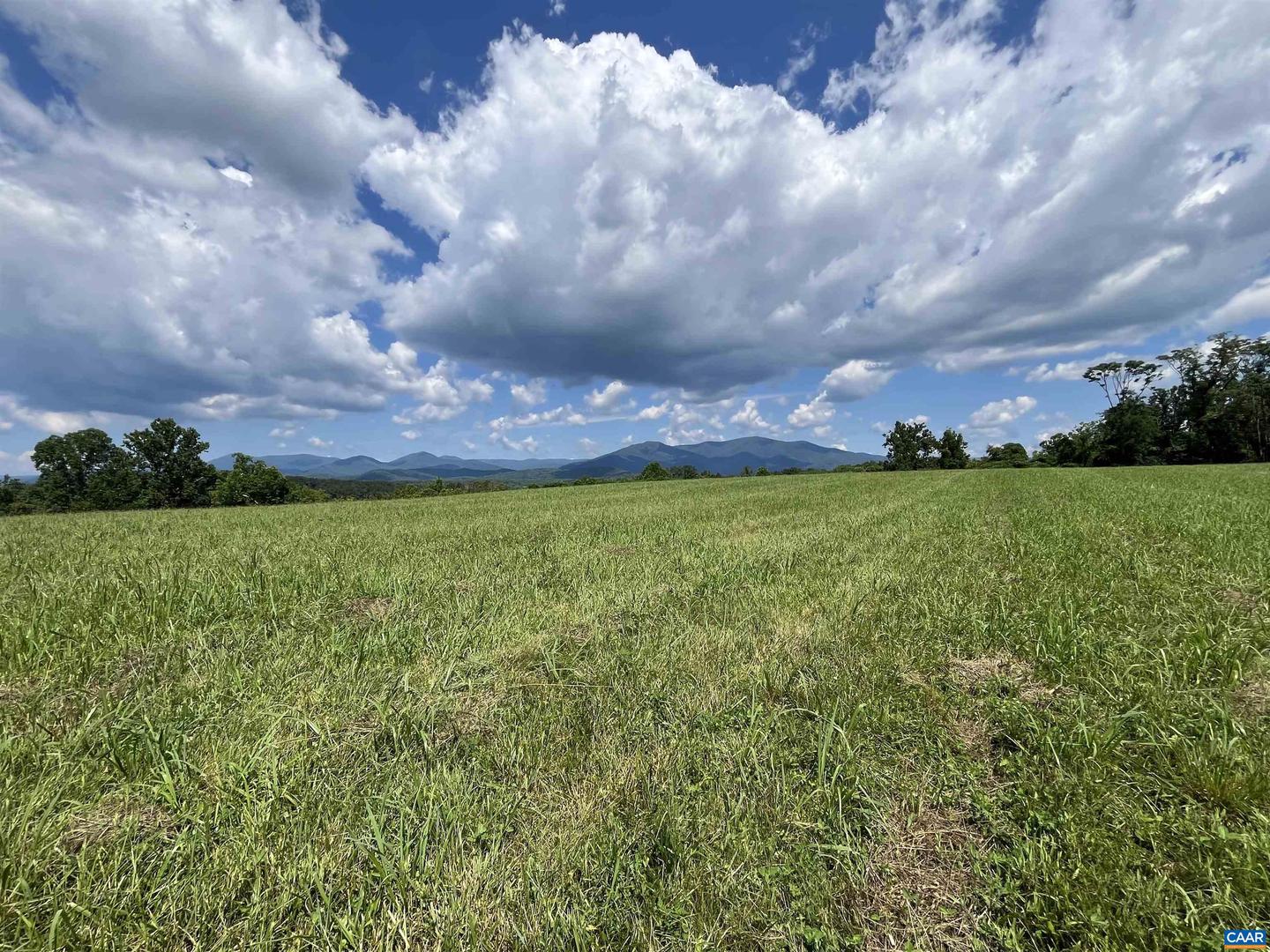 TBD ROSELAND RD, ROSELAND, Virginia 22967, ,Land,For sale,TBD ROSELAND RD,666464 MLS # 666464