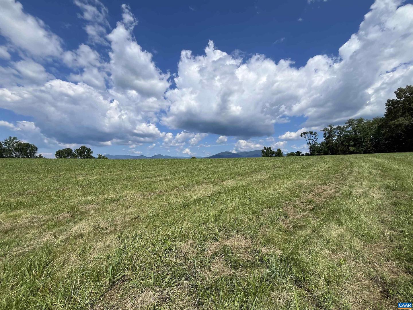 TBD ROSELAND RD, ROSELAND, Virginia 22967, ,Land,For sale,TBD ROSELAND RD,666464 MLS # 666464