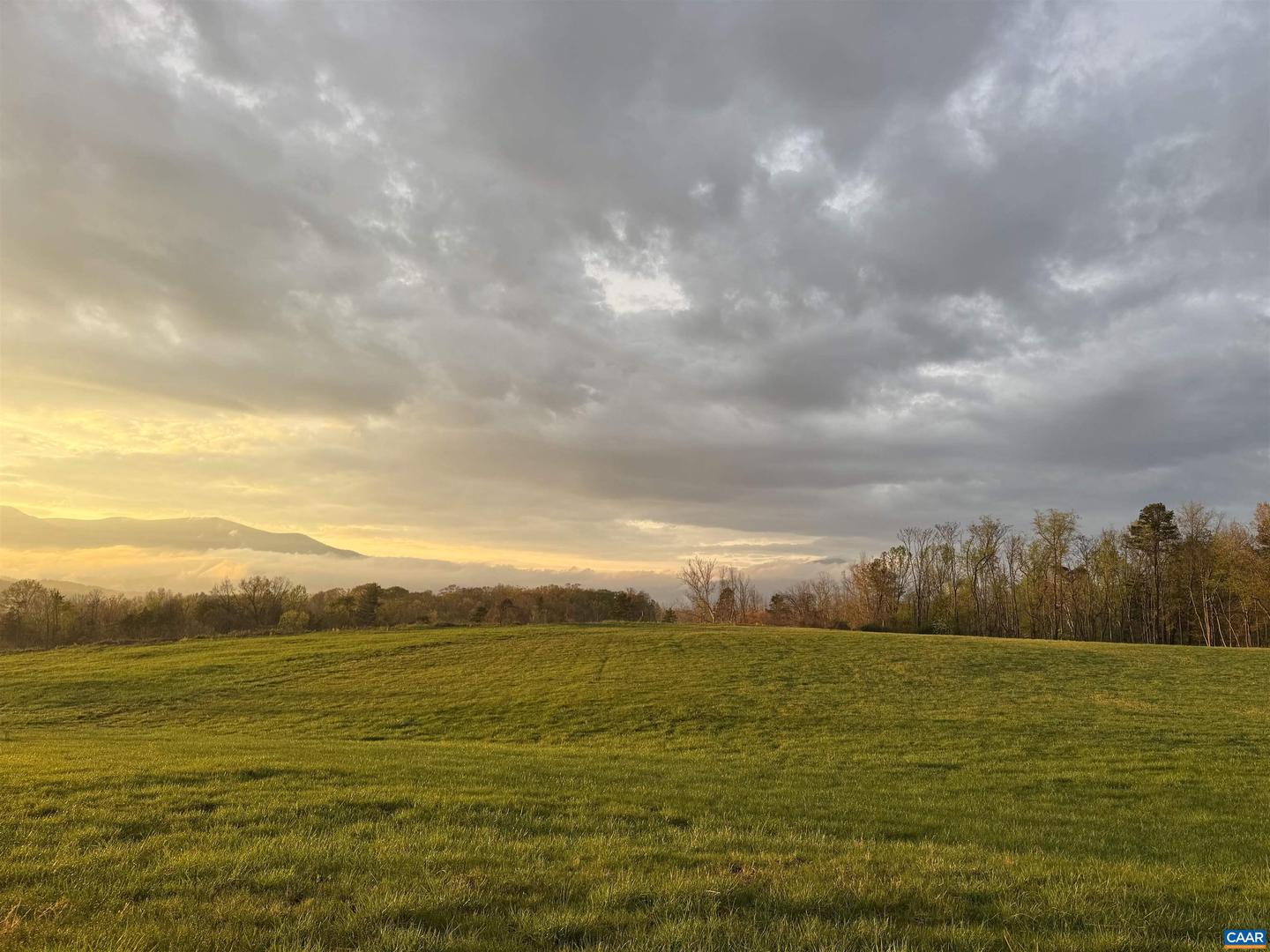 TBD ROSELAND RD, ROSELAND, Virginia 22967, ,Land,For sale,TBD ROSELAND RD,666464 MLS # 666464