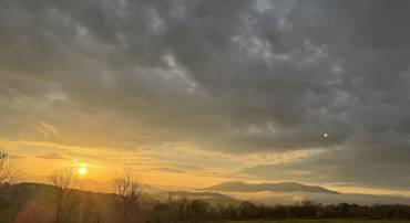 TBD ROSELAND RD, ROSELAND, Virginia 22967, ,Land,For sale,TBD ROSELAND RD,666464 MLS # 666464