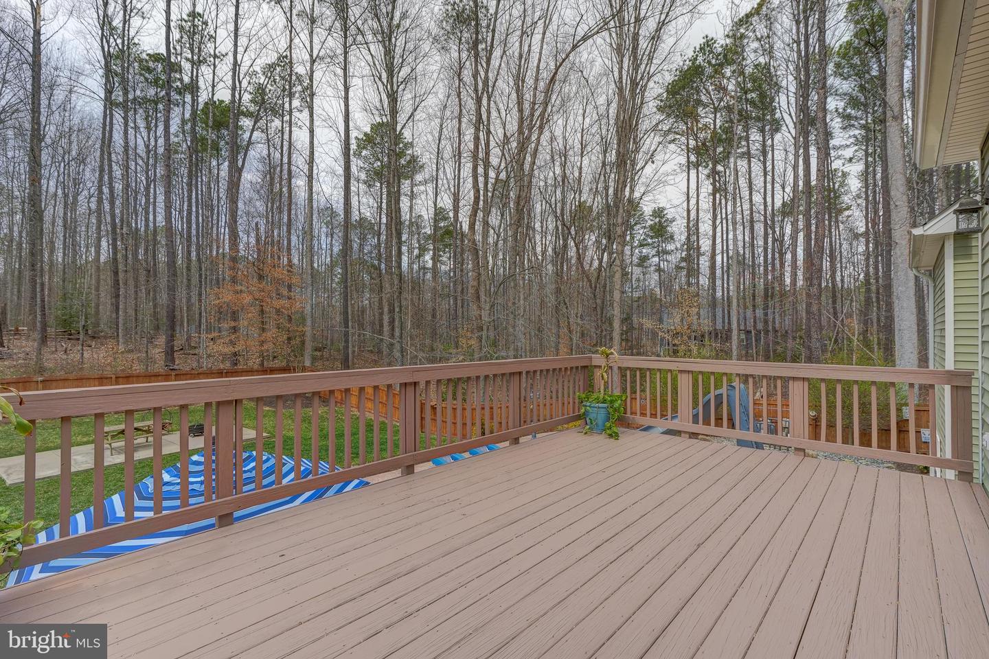 11304 PINEY FOREST DR, BUMPASS, Virginia 23024, 6 Bedrooms Bedrooms, 20 Rooms Rooms,4 BathroomsBathrooms,Residential,For sale,11304 PINEY FOREST DR,VASP2031552 MLS # VASP2031552