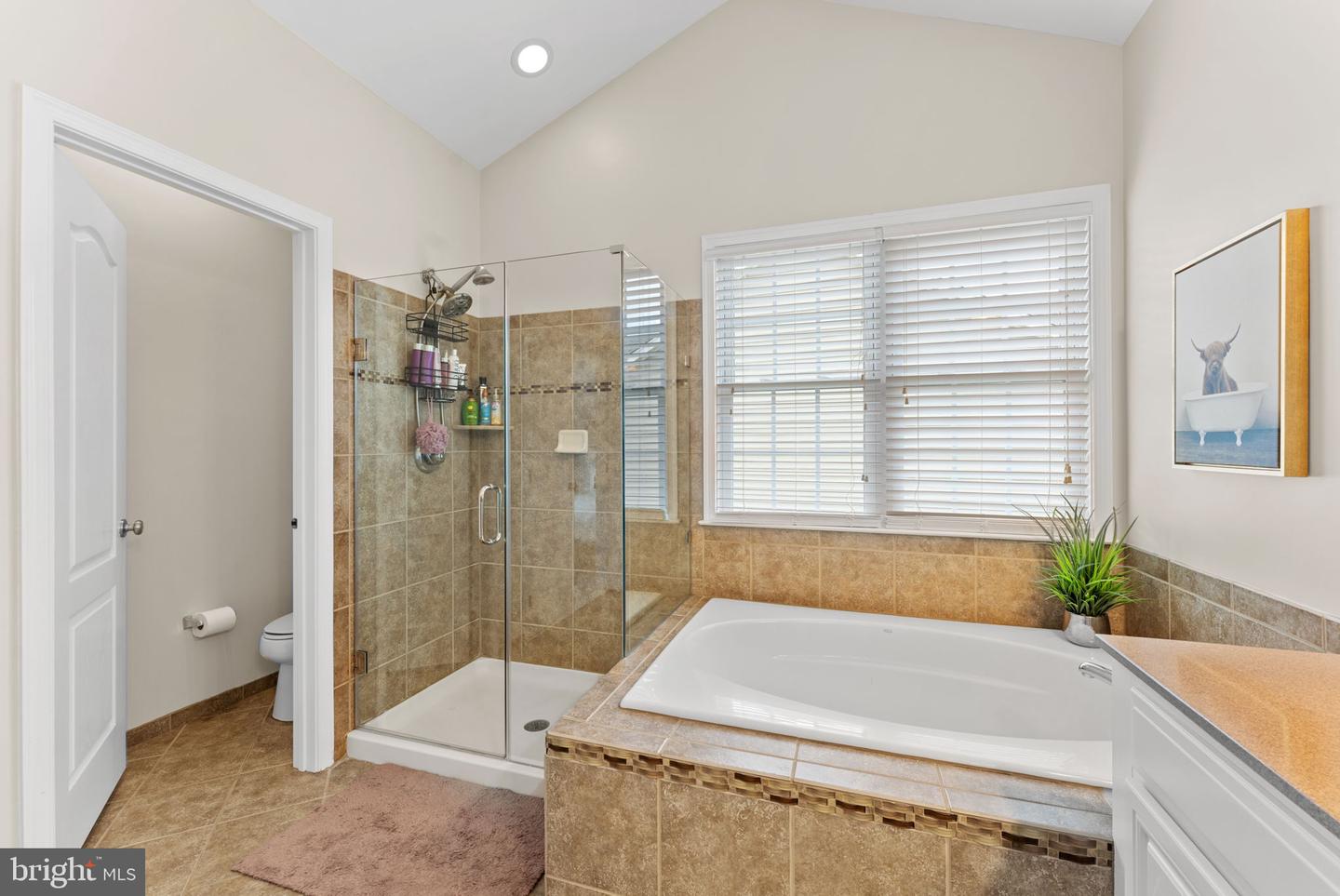 15224 GRIGSBY PL, HAYMARKET, Virginia 20169, 4 Bedrooms Bedrooms, ,4 BathroomsBathrooms,Residential,For sale,15224 GRIGSBY PL,VAPW2098138 MLS # VAPW2098138