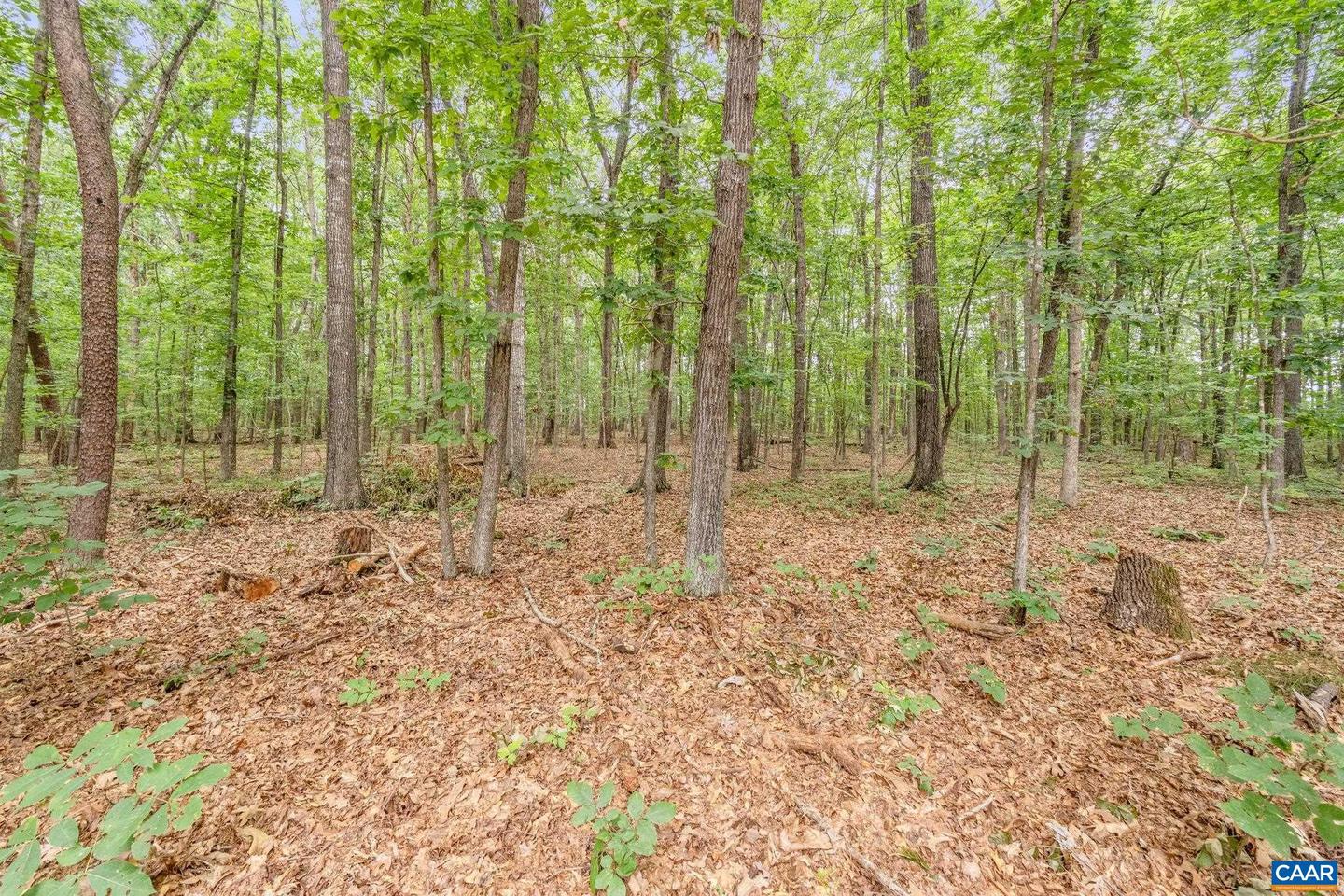 165 FITZPATRICK RD, BUCKINGHAM, Virginia 23921, 1 Bedroom Bedrooms, ,1 BathroomBathrooms,Residential,For sale,165 FITZPATRICK RD,666453 MLS # 666453
