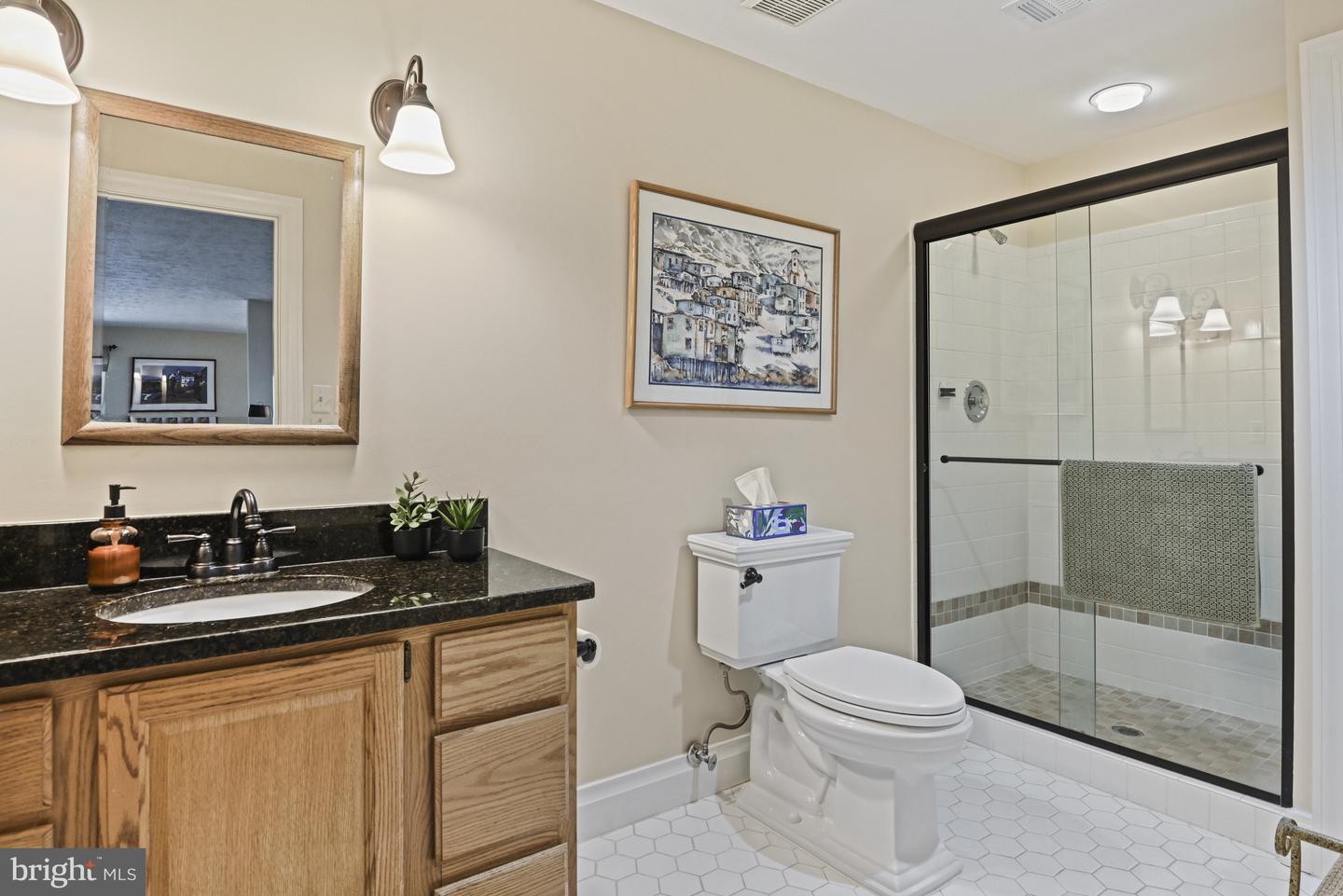 204 RIVER PARK DR, GREAT FALLS, Virginia 22066, 5 Bedrooms Bedrooms, ,4 BathroomsBathrooms,Residential,For sale,204 RIVER PARK DR,VAFX2253696 MLS # VAFX2253696