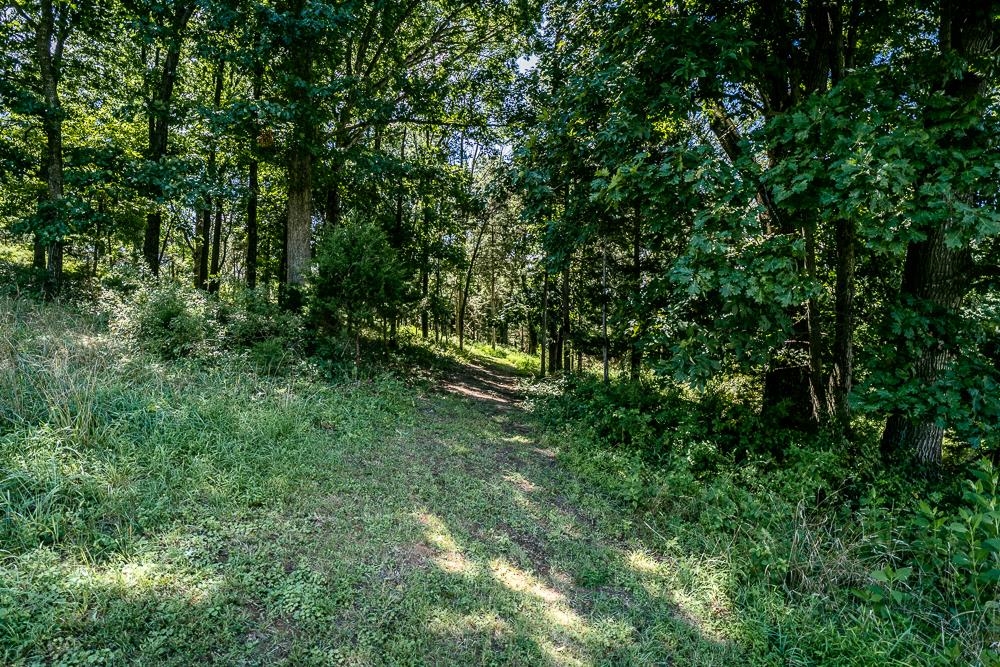 0 RODEO DR, ROCKINGHAM, Virginia 22802, ,Land,0 RODEO DR,666466 MLS # 666466