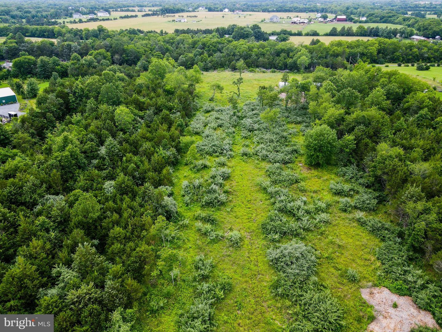 12000 HONEY GROVE TRL, NOKESVILLE, Virginia 20181, ,Land,For sale,12000 HONEY GROVE TRL,VAPW2098688 MLS # VAPW2098688