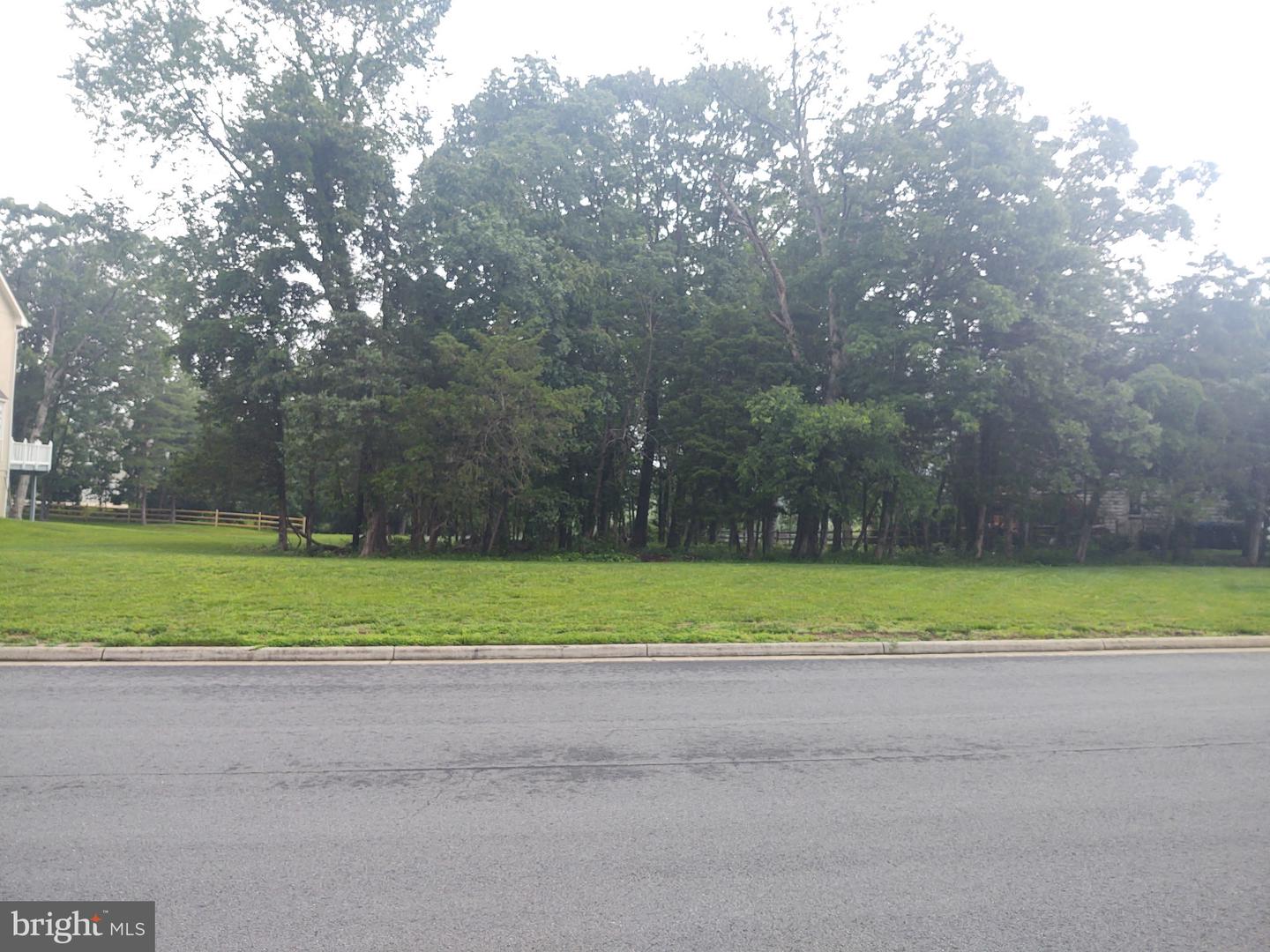 15564 SMITHFIELD PL, CENTREVILLE, Virginia 20120, ,Land,For sale,15564 SMITHFIELD PL,VAFX2253958 MLS # VAFX2253958