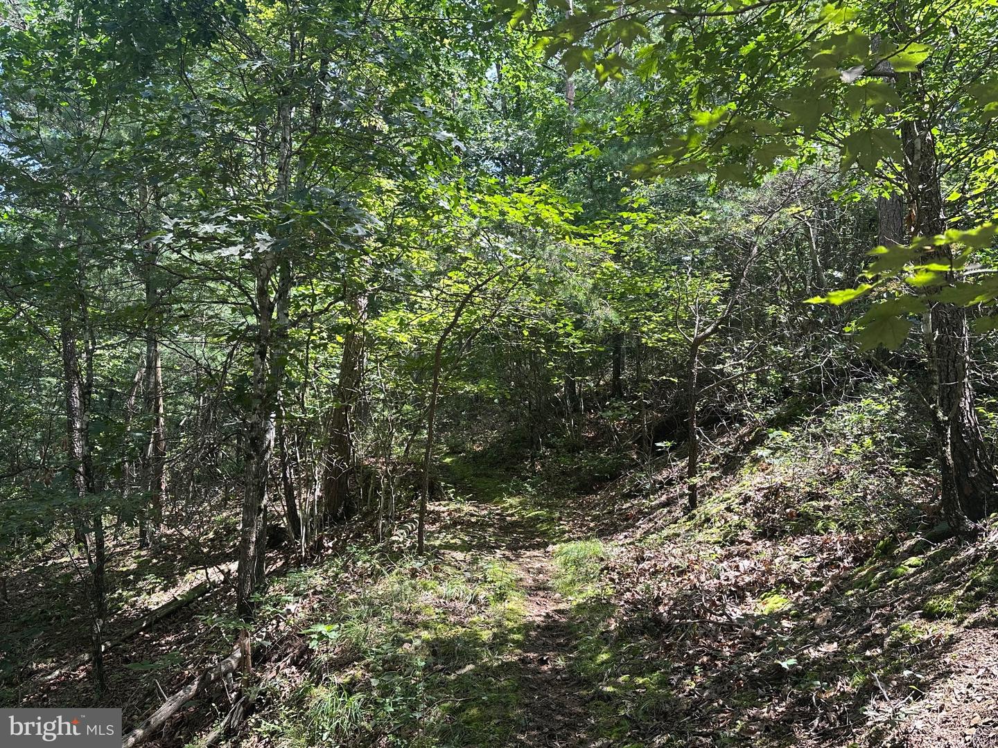 LOT 24 MT SNOW CT, BASYE, Virginia 22810, ,Land,For sale,LOT 24 MT SNOW CT,VASH2011938 MLS # VASH2011938