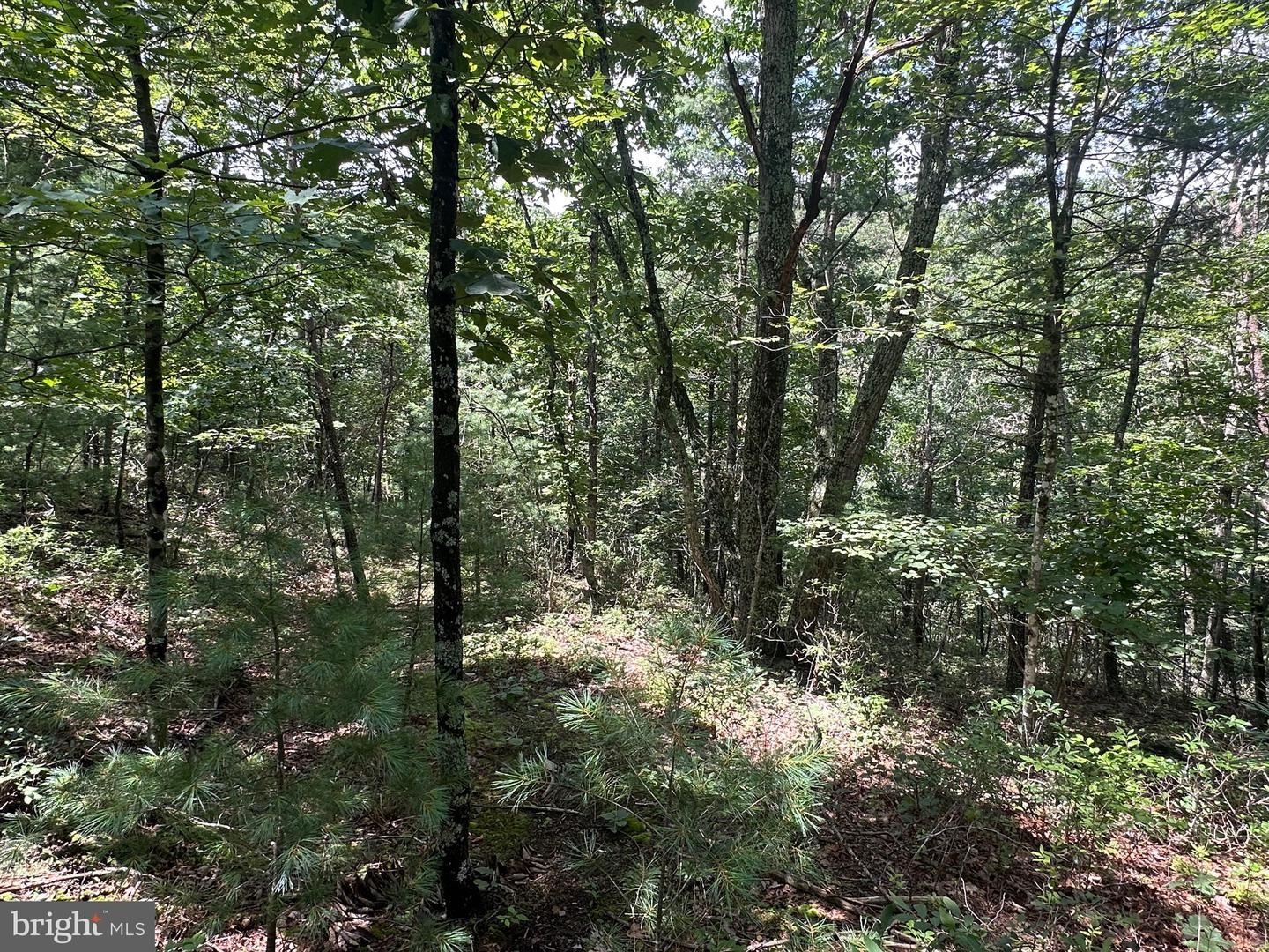 LOT 24 MT SNOW CT, BASYE, Virginia 22810, ,Land,For sale,LOT 24 MT SNOW CT,VASH2011938 MLS # VASH2011938