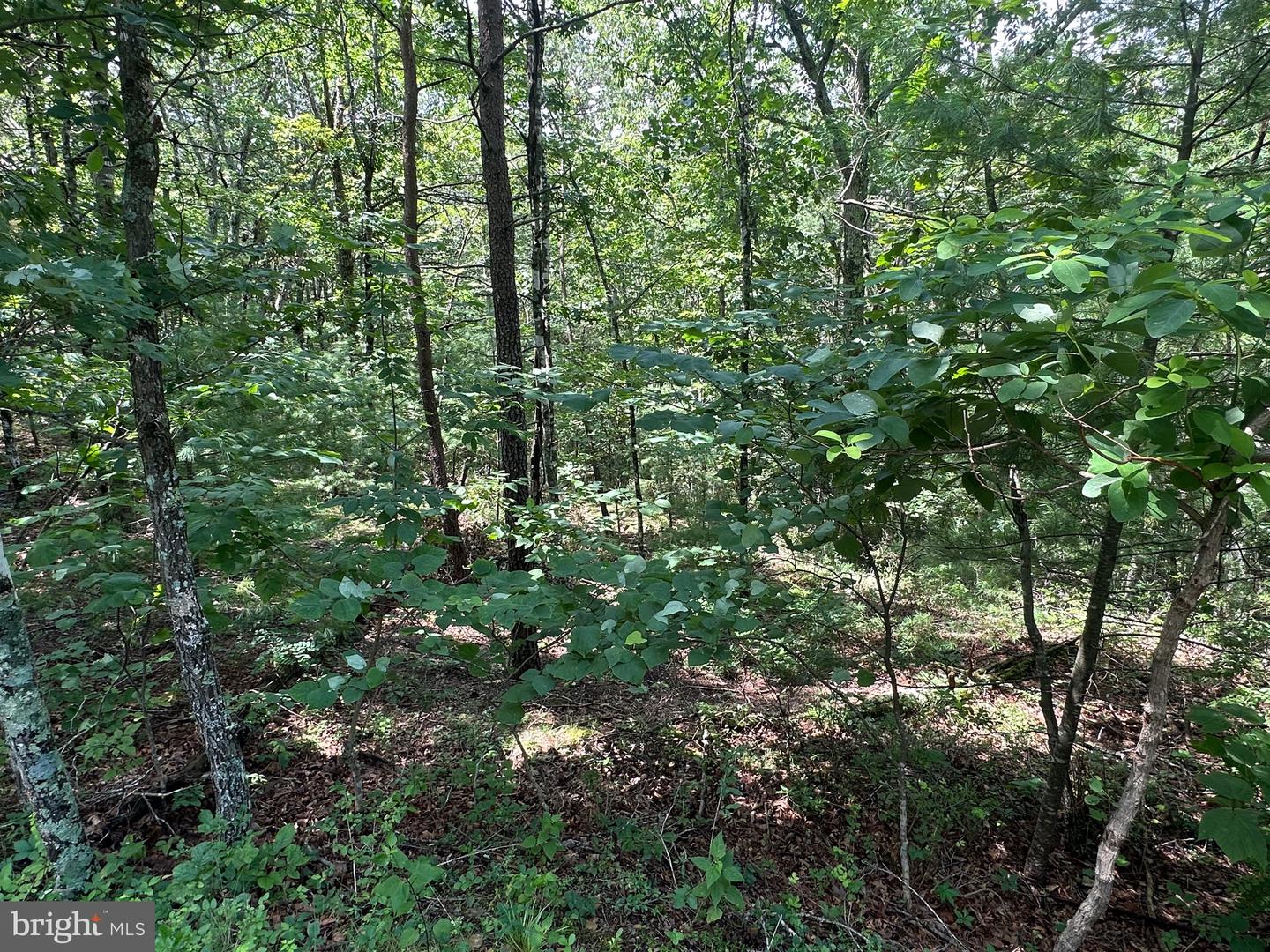 LOT 24 MT SNOW CT, BASYE, Virginia 22810, ,Land,For sale,LOT 24 MT SNOW CT,VASH2011938 MLS # VASH2011938