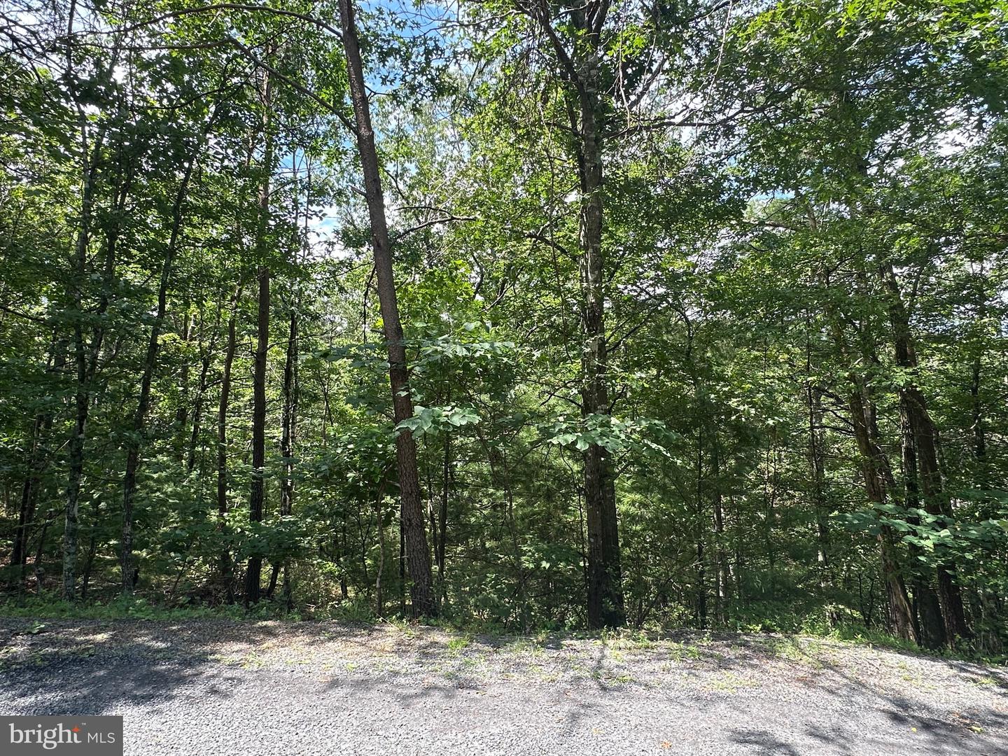 LOT 24 MT SNOW CT, BASYE, Virginia 22810, ,Land,For sale,LOT 24 MT SNOW CT,VASH2011938 MLS # VASH2011938