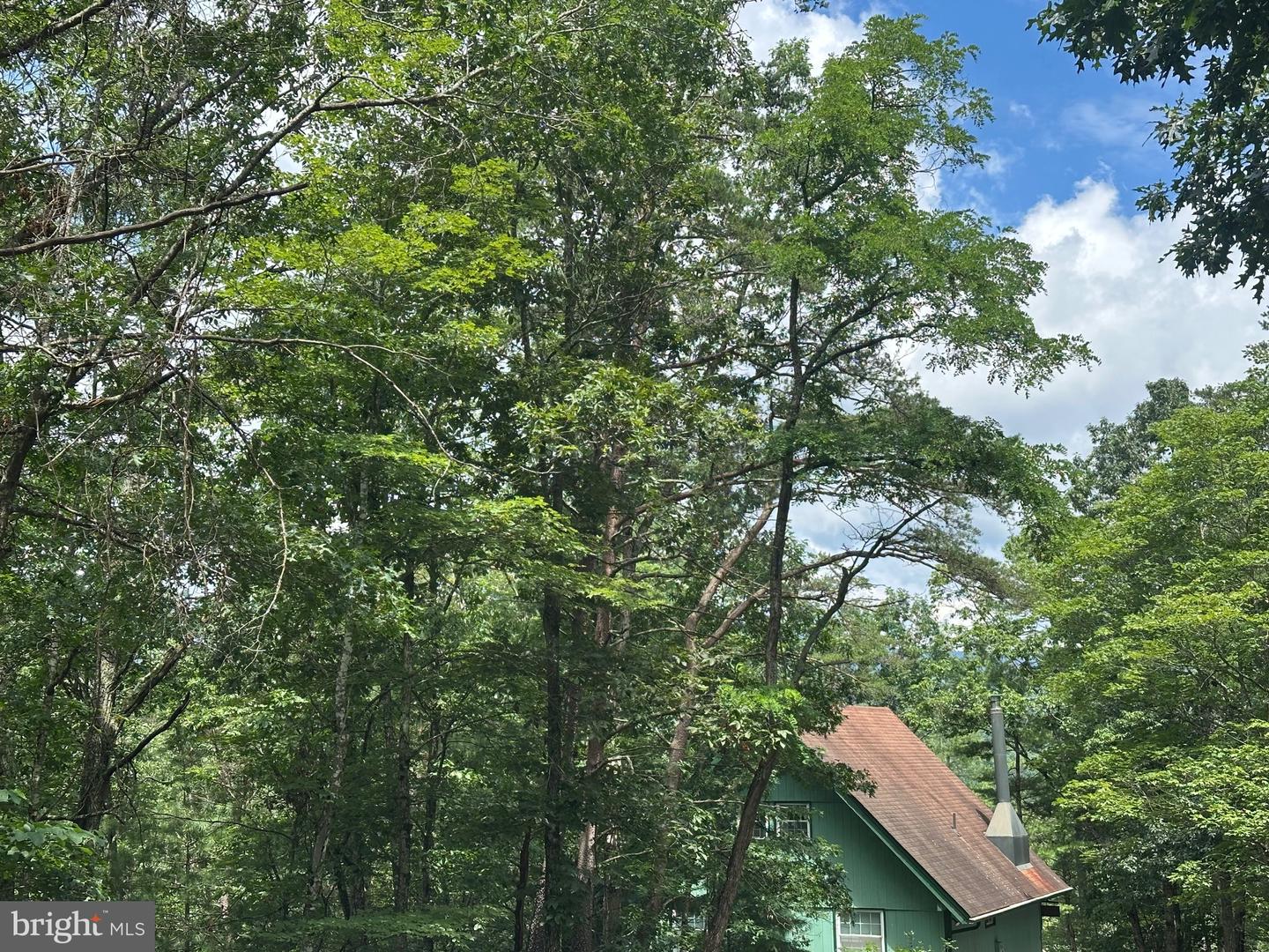 LOT 24 MT SNOW CT, BASYE, Virginia 22810, ,Land,For sale,LOT 24 MT SNOW CT,VASH2011938 MLS # VASH2011938