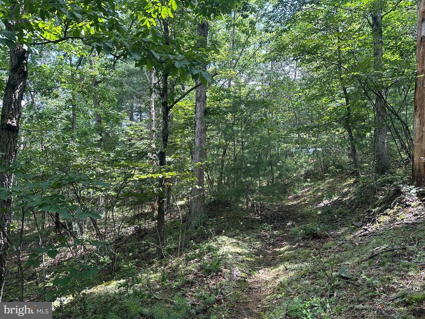 LOT 24 MT SNOW CT, BASYE, Virginia 22810, ,Land,For sale,LOT 24 MT SNOW CT,VASH2011938 MLS # VASH2011938