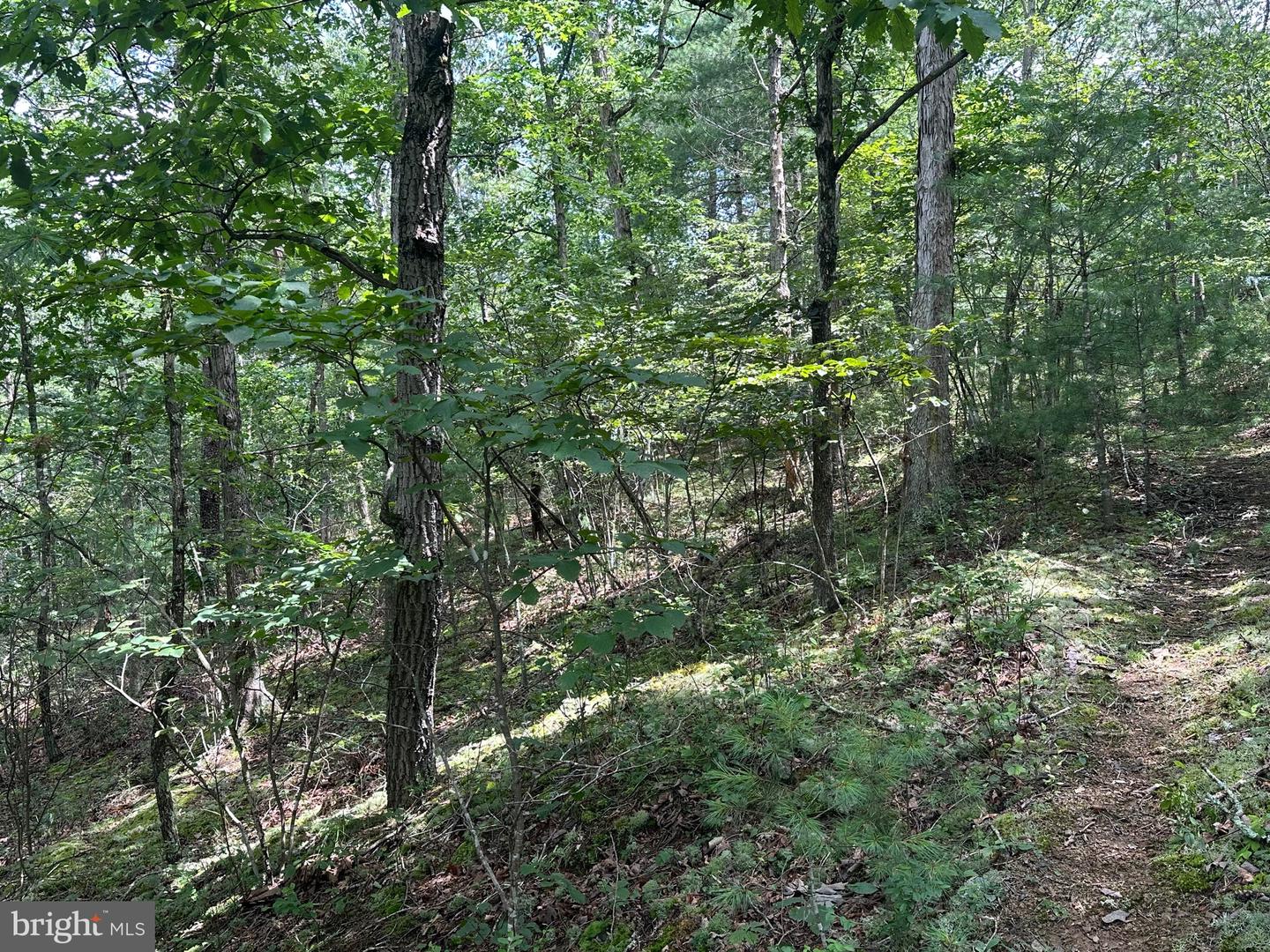 LOT 24 MT SNOW CT, BASYE, Virginia 22810, ,Land,For sale,LOT 24 MT SNOW CT,VASH2011938 MLS # VASH2011938