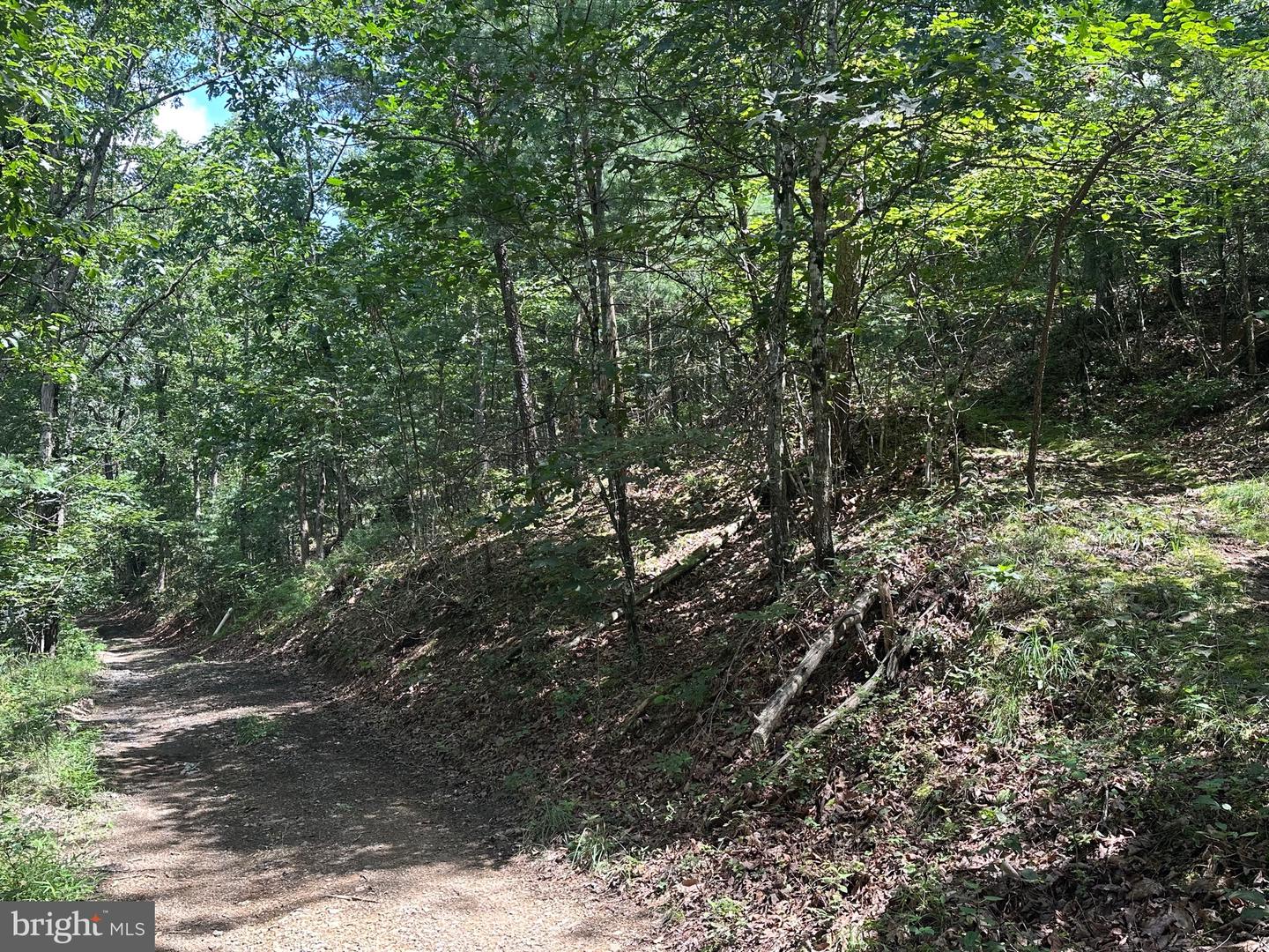 LOT 24 MT SNOW CT, BASYE, Virginia 22810, ,Land,For sale,LOT 24 MT SNOW CT,VASH2011938 MLS # VASH2011938