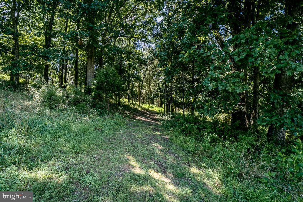 0 RODEO DR, ROCKINGHAM, Virginia 22802, ,Land,For sale,0 RODEO DR,VARO2002430 MLS # VARO2002430