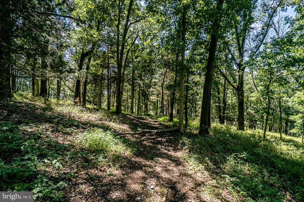 0 RODEO DR, ROCKINGHAM, Virginia 22802, ,Land,For sale,0 RODEO DR,VARO2002430 MLS # VARO2002430