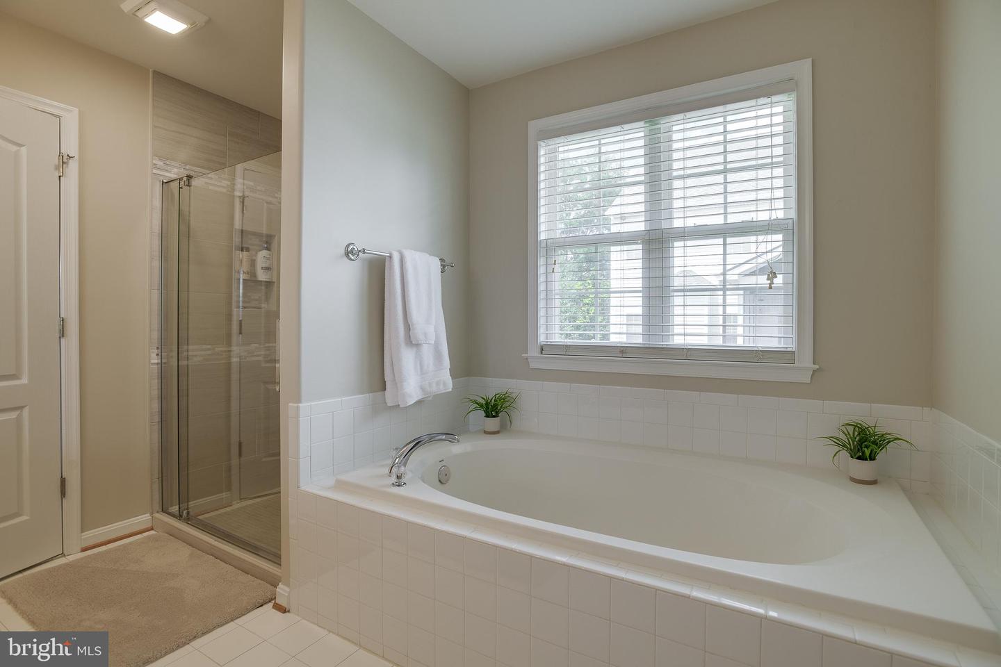 890 AMBLESIDE DR, CULPEPER, Virginia 22701, 4 Bedrooms Bedrooms, ,3 BathroomsBathrooms,Residential,For sale,890 AMBLESIDE DR,VACU2010824 MLS # VACU2010824