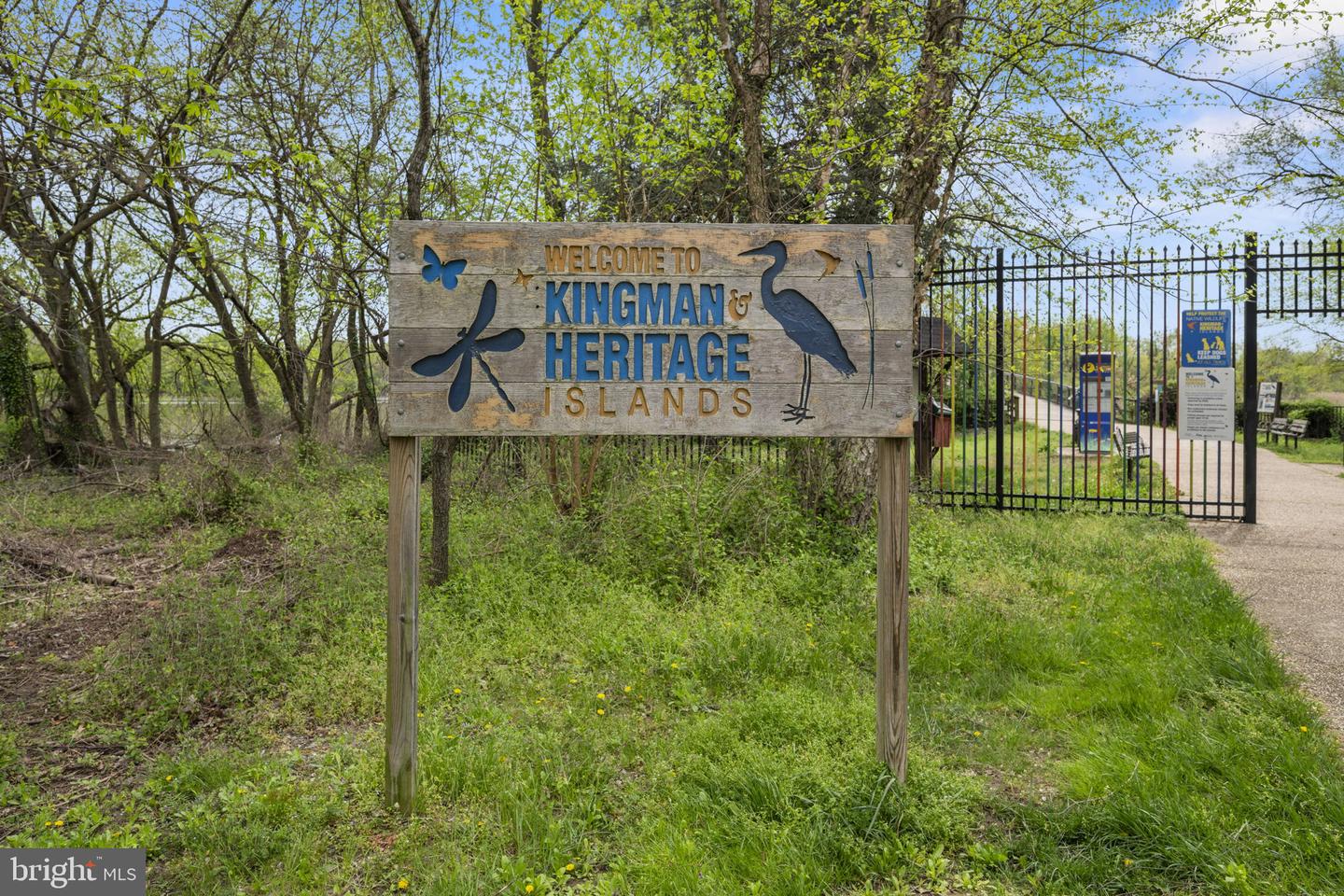 429 20TH ST NE #1, WASHINGTON, District Of Columbia 20002, 2 Bedrooms Bedrooms, ,2 BathroomsBathrooms,Residential,For sale,429 20TH ST NE #1,DCDC2206916 MLS # DCDC2206916