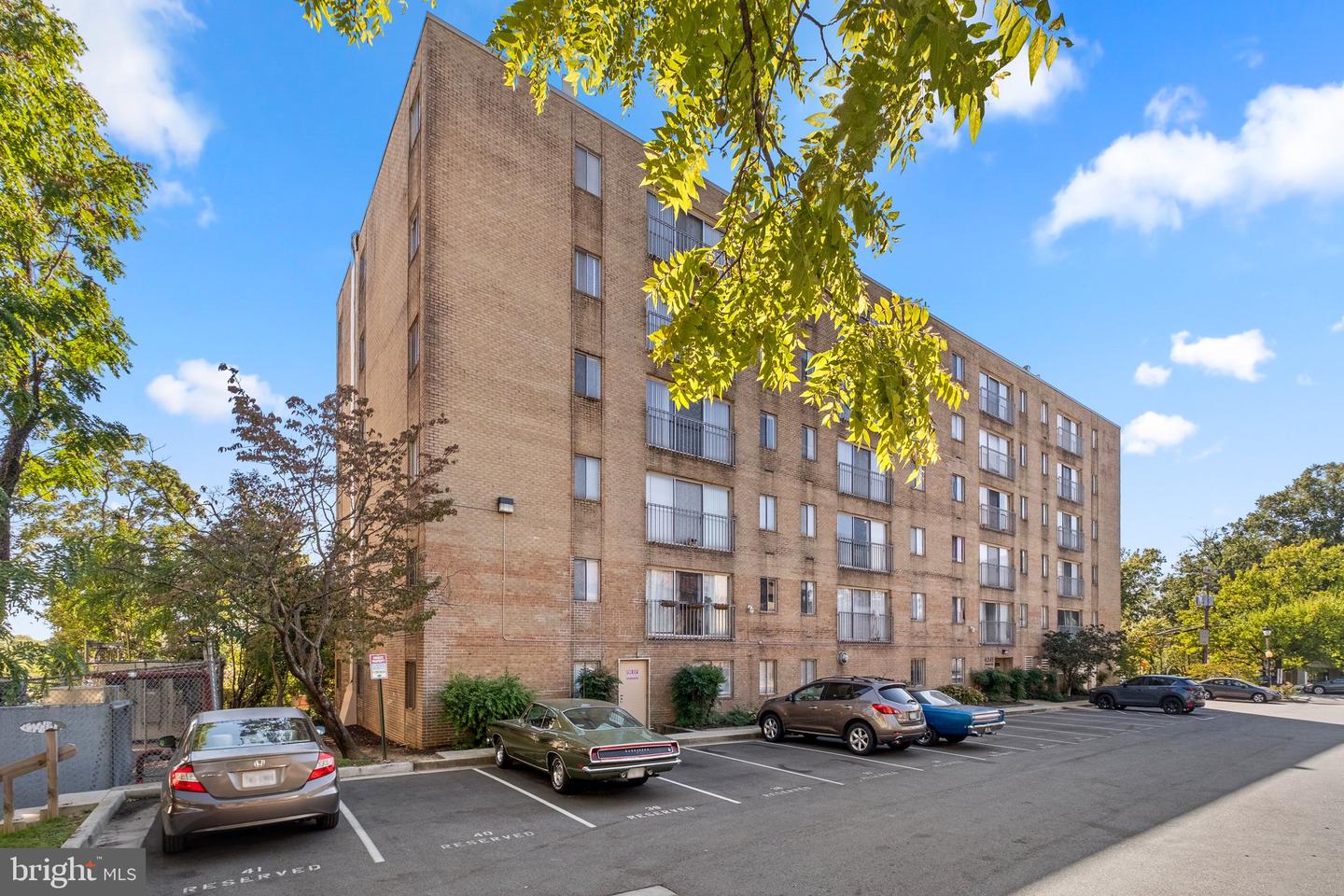 4241 COLUMBIA PIKE #305, ARLINGTON, Virginia 22204, 1 Bedroom Bedrooms, ,1 BathroomBathrooms,Residential,For sale,4241 COLUMBIA PIKE #305,VAAR2059968 MLS # VAAR2059968