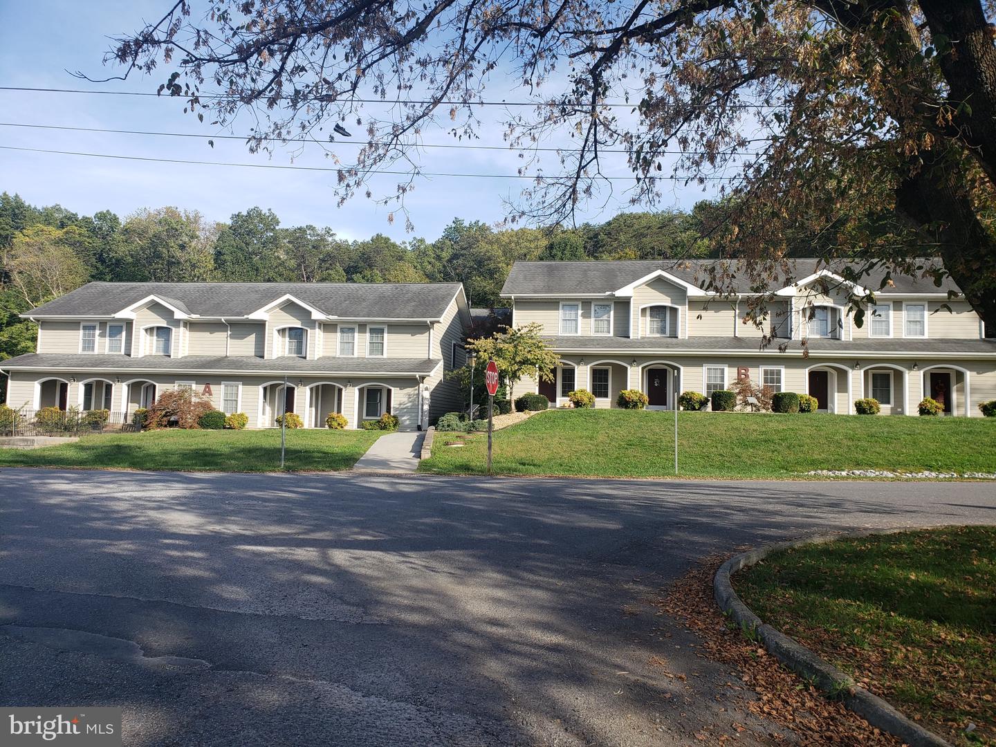 2754 MAPLE AVENUE, BUENA VISTA, Virginia 24416, ,Land,For sale,2754 MAPLE AVENUE,VARB2000040 MLS # VARB2000040