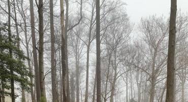 LOT 42 BAY POINTE DR, MONTROSS, Virginia 22520, ,Land,For sale,LOT 42 BAY POINTE DR,VAWE2006196 MLS # VAWE2006196