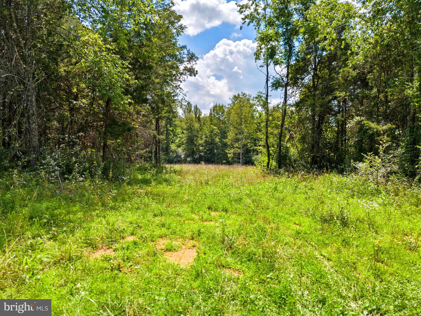 0 THOROUGHFARE LN, CULPEPER, Virginia 22701, ,Land,For sale,0 THOROUGHFARE LN,VACU2010964 MLS # VACU2010964