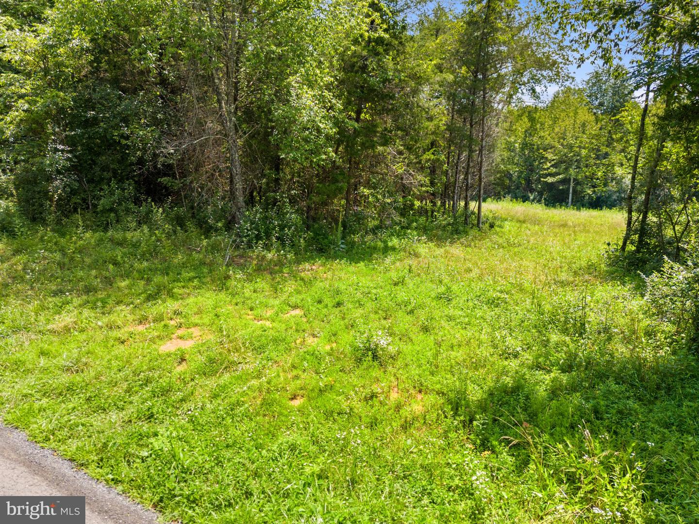 0 THOROUGHFARE LN, CULPEPER, Virginia 22701, ,Land,For sale,0 THOROUGHFARE LN,VACU2010964 MLS # VACU2010964