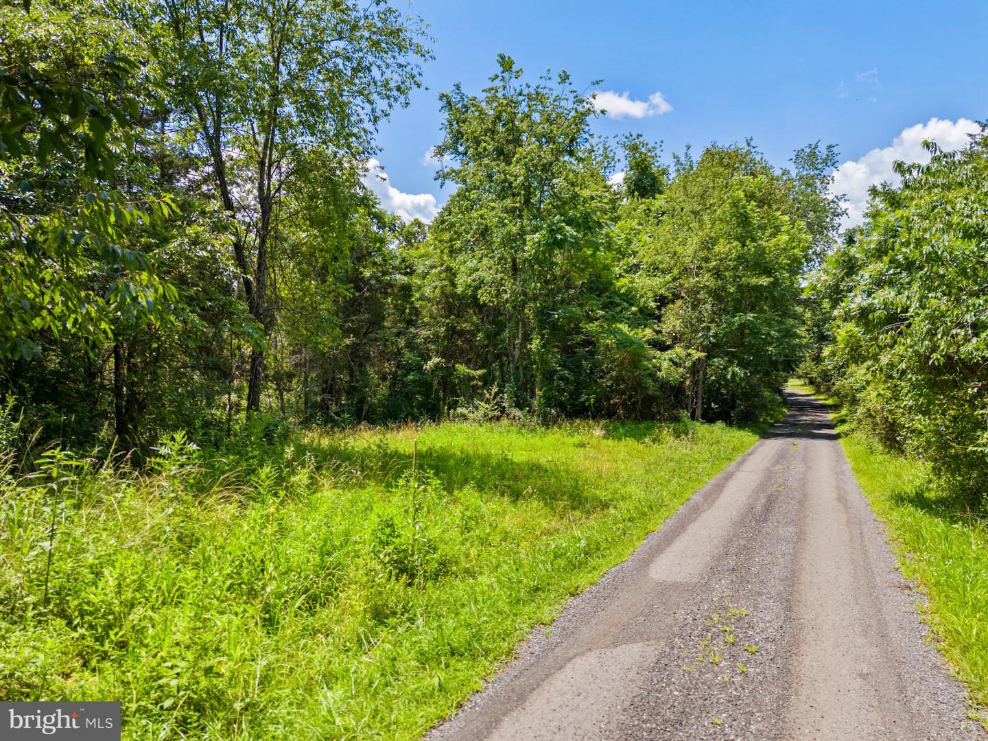 0 THOROUGHFARE LN, CULPEPER, Virginia 22701, ,Land,For sale,0 THOROUGHFARE LN,VACU2010964 MLS # VACU2010964