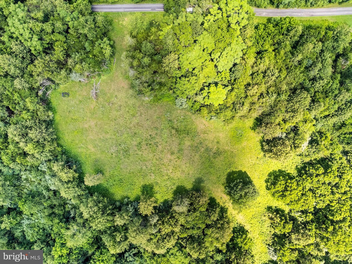0 THOROUGHFARE LN, CULPEPER, Virginia 22701, ,Land,For sale,0 THOROUGHFARE LN,VACU2010964 MLS # VACU2010964
