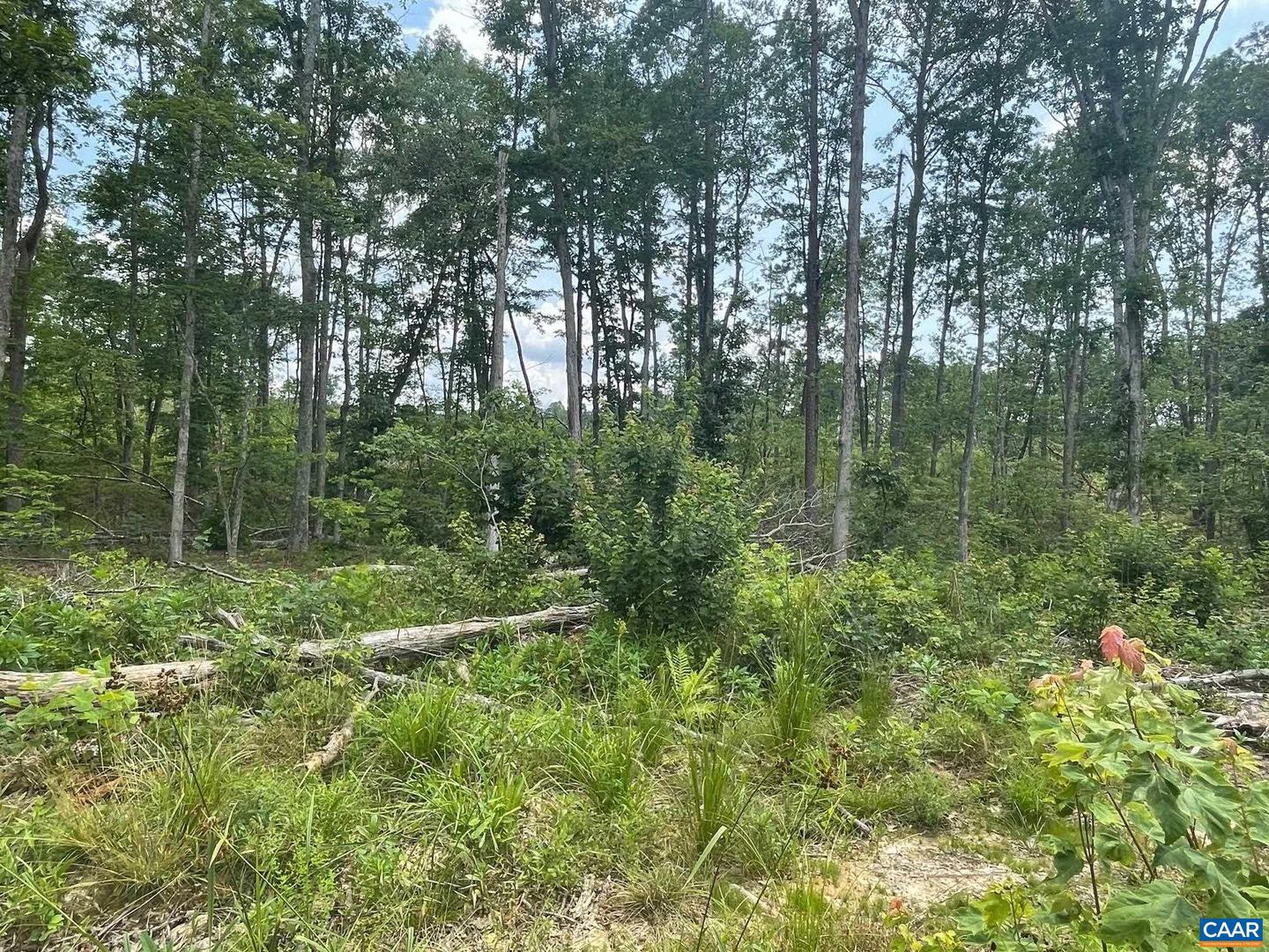 PASSANTE SR LN #10 68, GORDONSVILLE, Virginia 22942, ,Farm,For sale,PASSANTE SR LN #10 68,666509 MLS # 666509