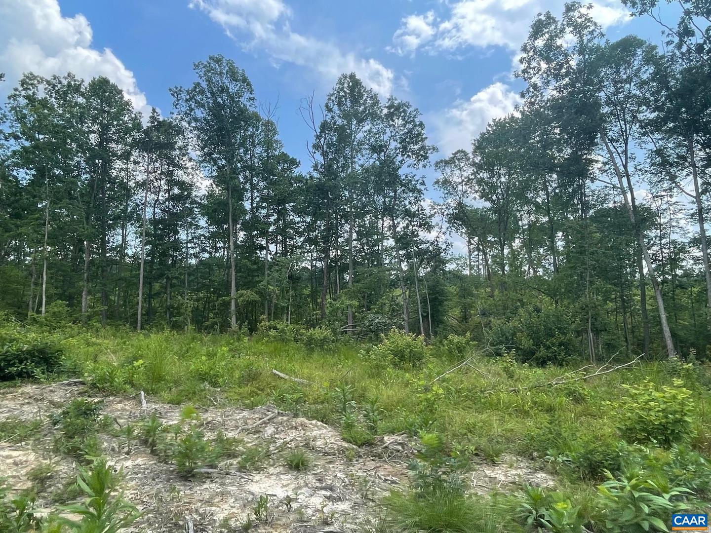 PASSANTE SR LN #10 68, GORDONSVILLE, Virginia 22942, ,Farm,For sale,PASSANTE SR LN #10 68,666509 MLS # 666509