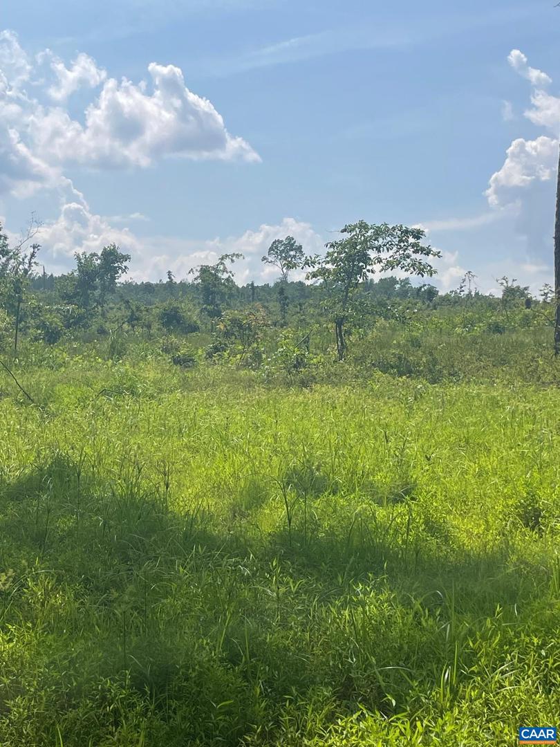 PASSANTE SR LN #10 68, GORDONSVILLE, Virginia 22942, ,Farm,For sale,PASSANTE SR LN #10 68,666509 MLS # 666509
