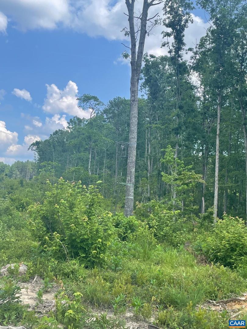 PASSANTE SR LN #10 68, GORDONSVILLE, Virginia 22942, ,Farm,For sale,PASSANTE SR LN #10 68,666509 MLS # 666509