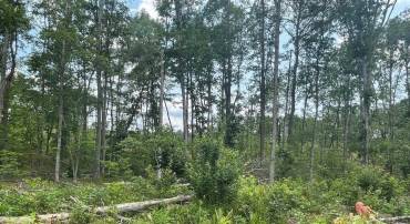 PASSANTE SR LN #10 68, GORDONSVILLE, Virginia 22942, ,Farm,For sale,PASSANTE SR LN #10 68,666509 MLS # 666509