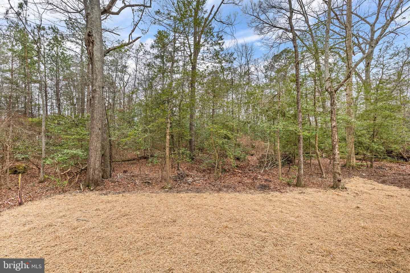 316 9TH ST, COLONIAL BEACH, Virginia 22443, 3 Bedrooms Bedrooms, ,2 BathroomsBathrooms,Residential,For sale,316 9TH ST,VAWE2009258 MLS # VAWE2009258