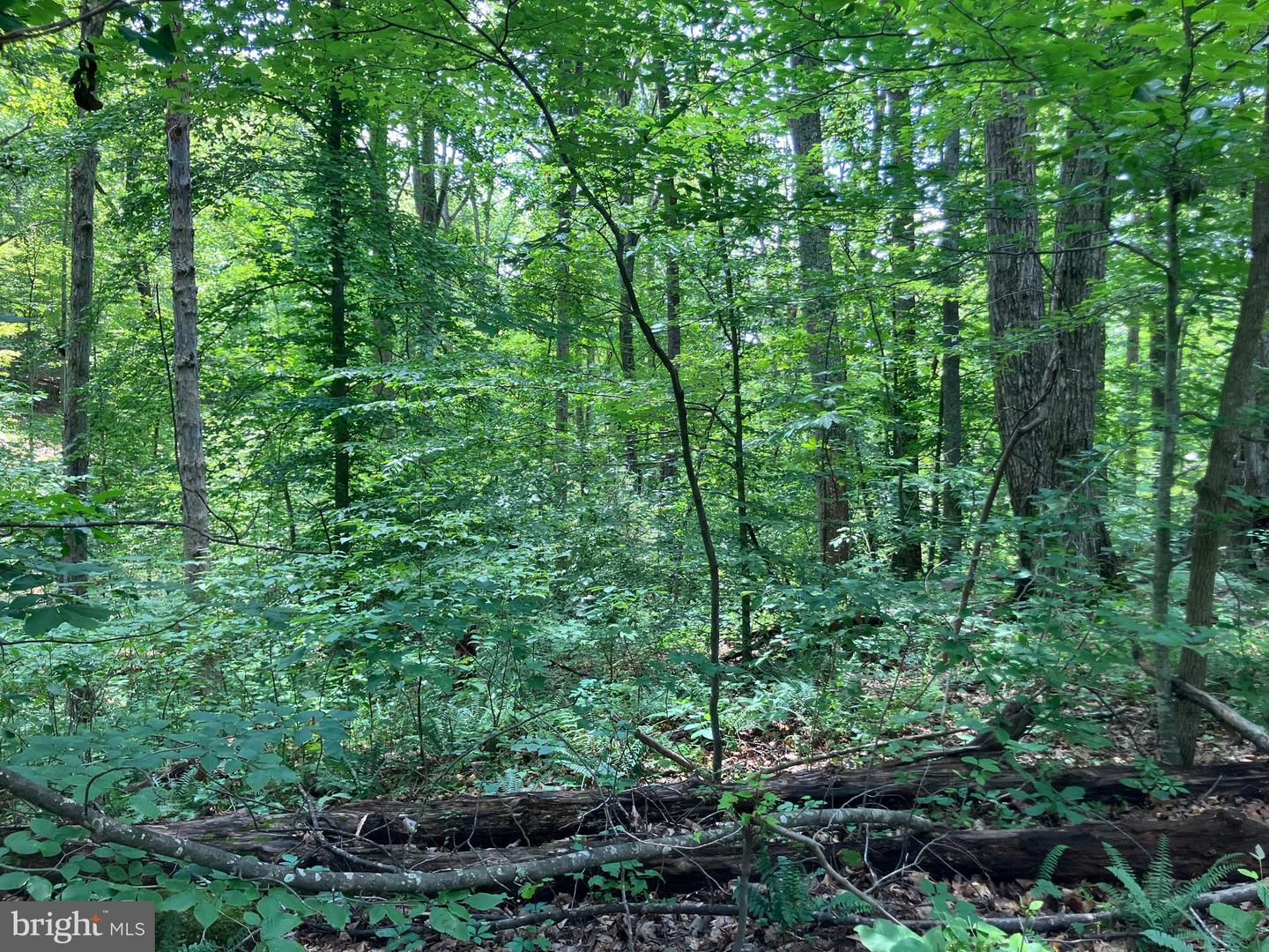 LOT 1224 LAKESHORE DR, LOUISA, Virginia 23093, ,Land,For sale,LOT 1224 LAKESHORE DR,VALA2008194 MLS # VALA2008194