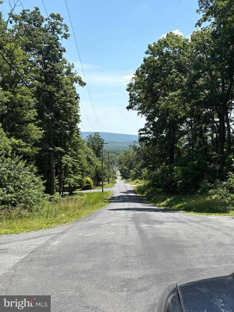 LOT 151 TOMAHAWK TRAIL, WINCHESTER, Virginia 22602, ,Land,For sale,LOT 151 TOMAHAWK TRAIL,VAFV2035338 MLS # VAFV2035338