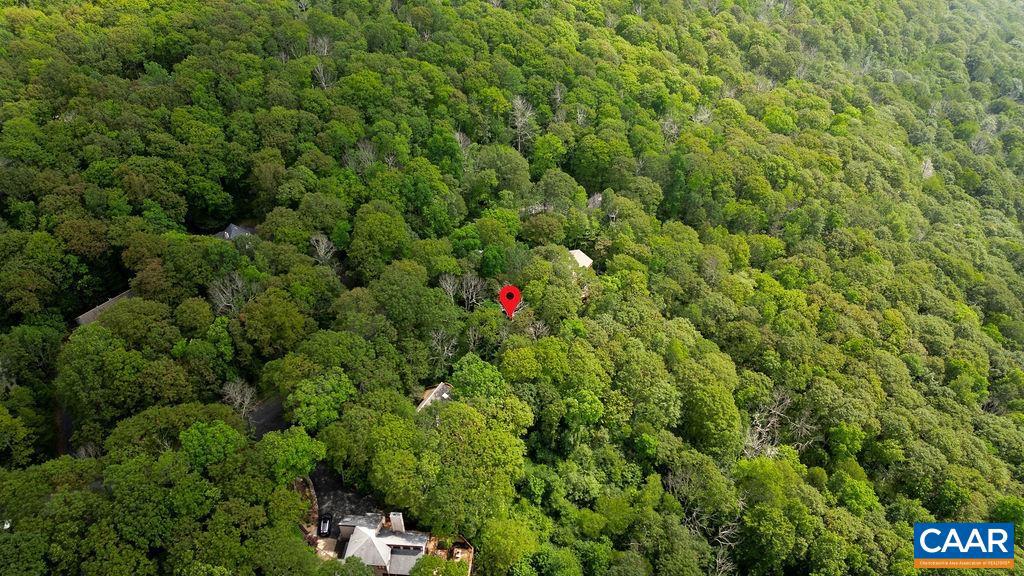186 HEMLOCK DR, ROSELAND, Virginia 22967, ,Land,For sale,186 HEMLOCK DR,666519 MLS # 666519