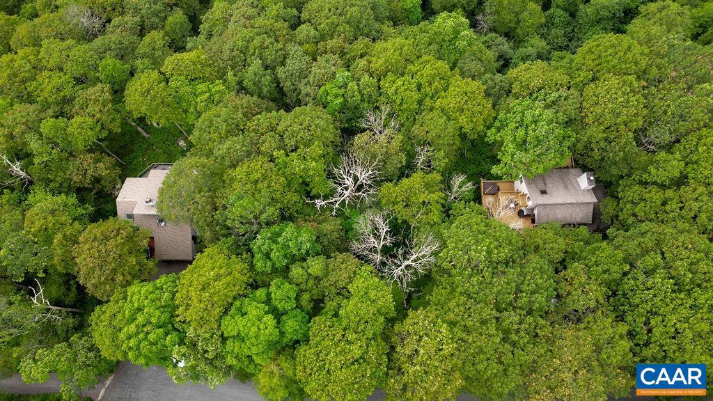 186 HEMLOCK DR, ROSELAND, Virginia 22967, ,Land,For sale,186 HEMLOCK DR,666519 MLS # 666519