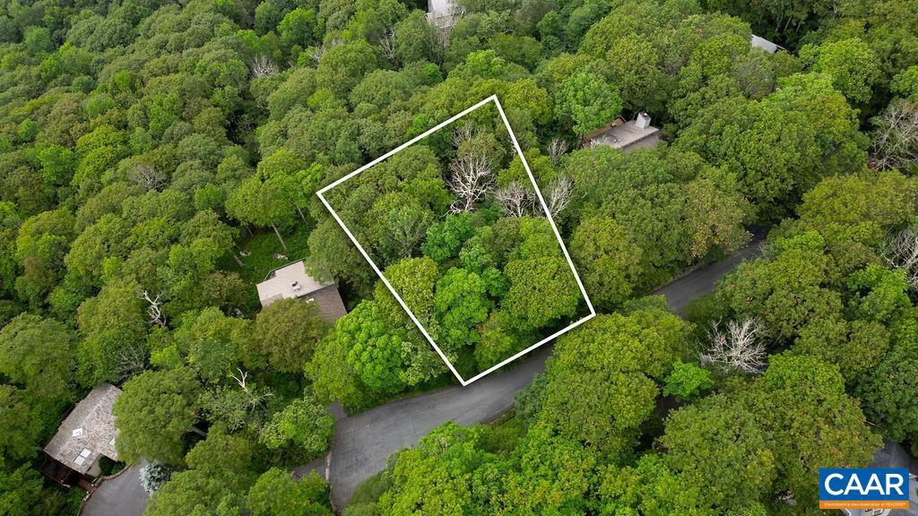 186 HEMLOCK DR, ROSELAND, Virginia 22967, ,Land,For sale,186 HEMLOCK DR,666519 MLS # 666519