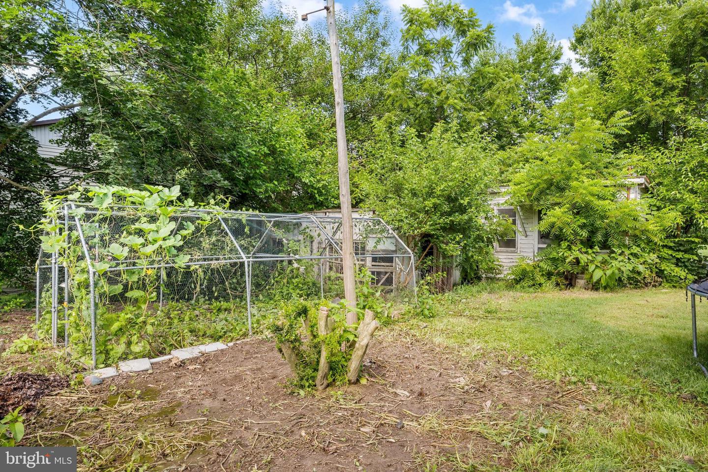 0 SECOND AVE, MOUNT JACKSON, Virginia 22842, ,Land,For sale,0 SECOND AVE,VASH2011948 MLS # VASH2011948