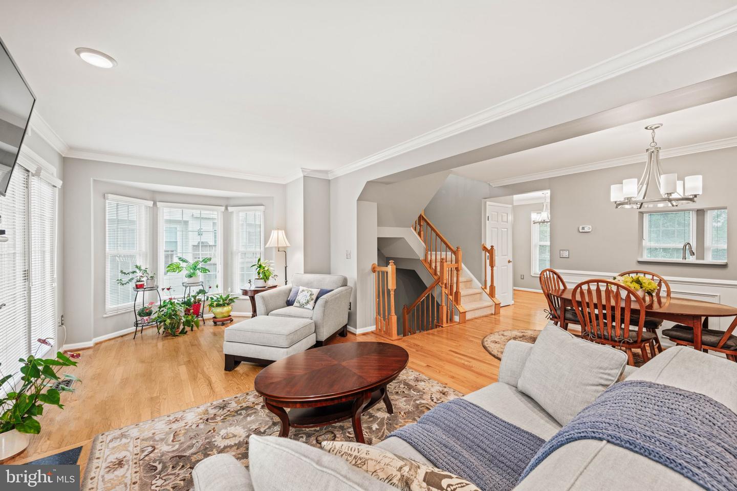 913 ROLFE PL, ALEXANDRIA, Virginia 22314, 3 Bedrooms Bedrooms, 7 Rooms Rooms,2 BathroomsBathrooms,Residential,For sale,913 ROLFE PL,VAAX2047094 MLS # VAAX2047094