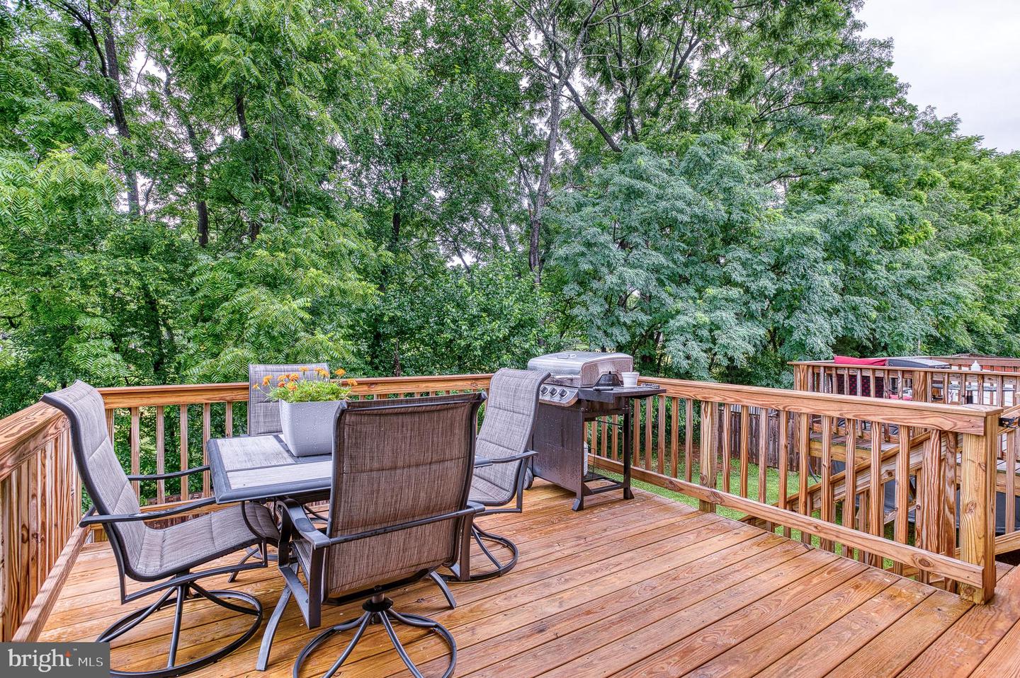 1905 CREPE MYRTLE LN, CULPEPER, Virginia 22701, 4 Bedrooms Bedrooms, ,2 BathroomsBathrooms,Residential,For sale,1905 CREPE MYRTLE LN,VACU2010968 MLS # VACU2010968