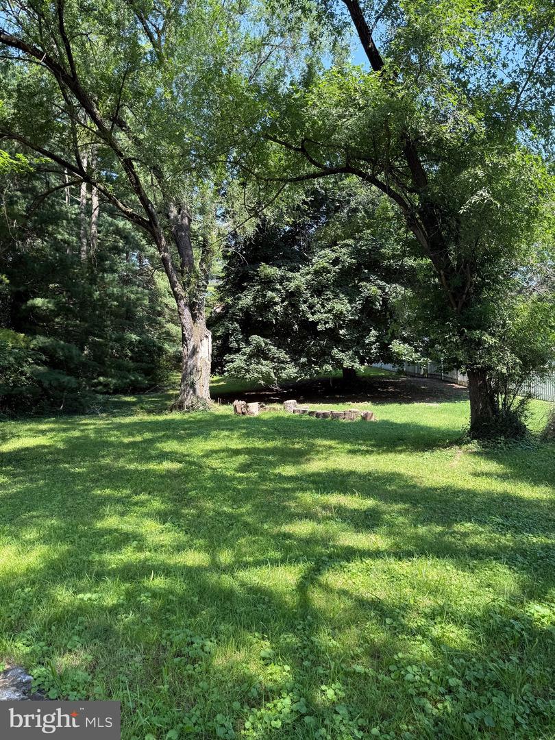 LOT 1 S MAIN ST, WOODSTOCK, Virginia 22664, ,Land,For sale,LOT 1 S MAIN ST,VASH2011934 MLS # VASH2011934