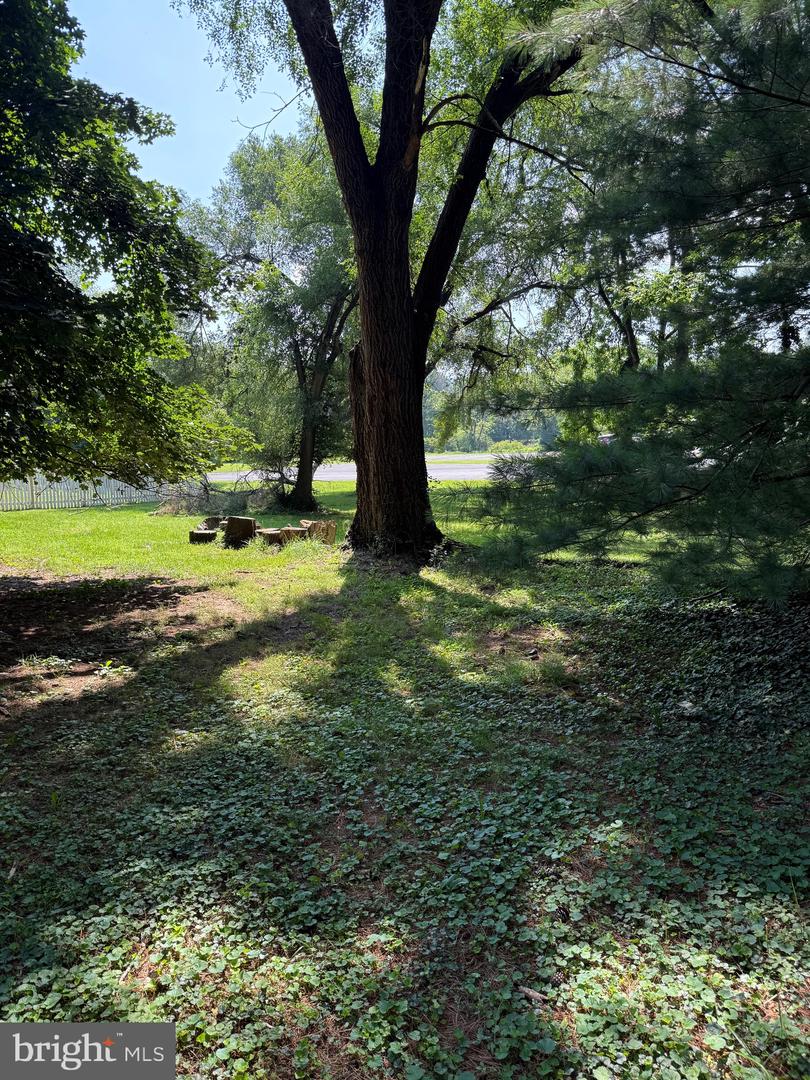 LOT 1 S MAIN ST, WOODSTOCK, Virginia 22664, ,Land,For sale,LOT 1 S MAIN ST,VASH2011934 MLS # VASH2011934